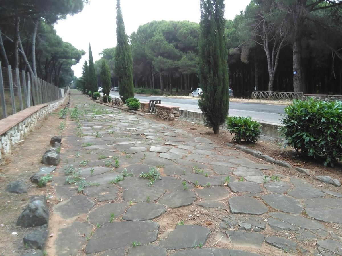 Incantevole Casa Sul Mare Vicino A Roma 네뚜노 외부 사진